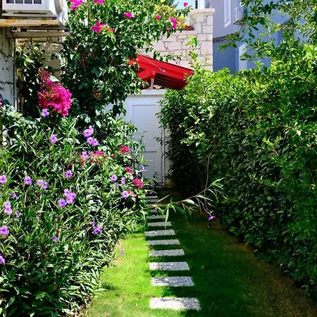 빌라 Evalacati-Villa Palma-Elite With Private Pool And Garden