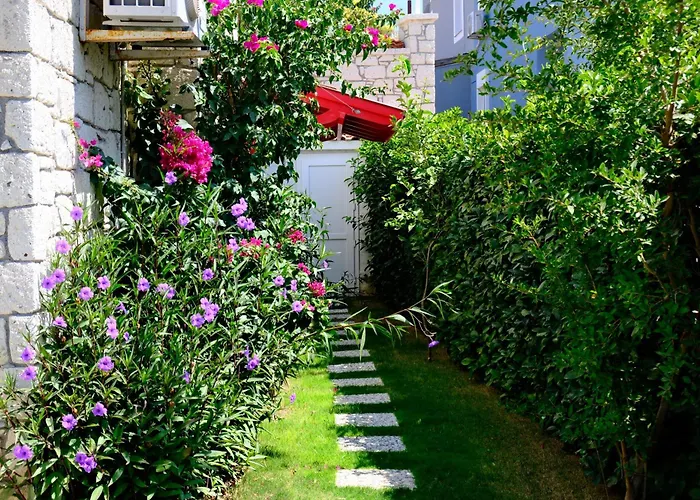 别墅 Evalacati-Villa Palma-Netflix Joy